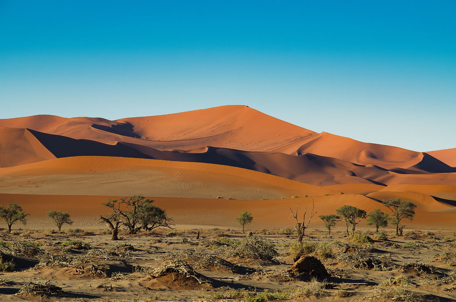 Red dunes of Sossusvlei